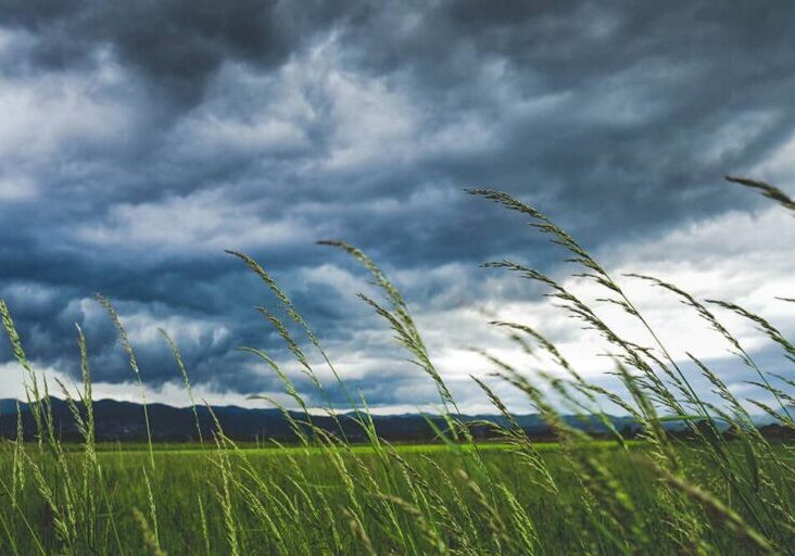 How-Often-Do-Heavy-Winds-Cause-Car-Wrecks